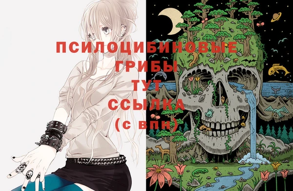 амф Абинск