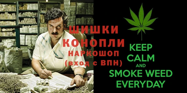 амф Абинск